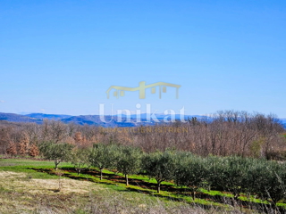 Terreno edificabile in posizione tranquilla